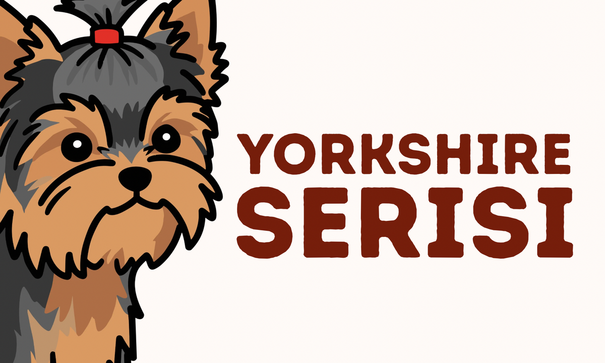 Yorkshire Serisi