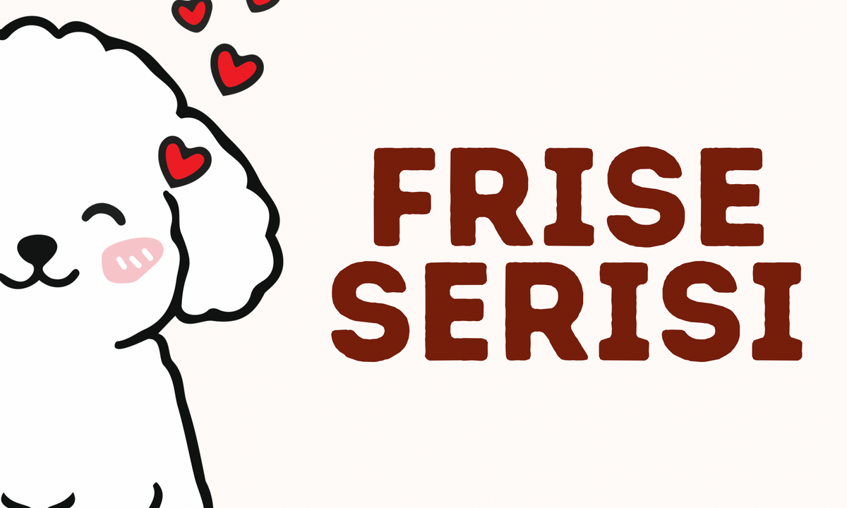 Frise Serisi