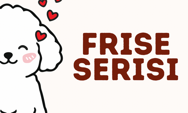 Frise Serisi