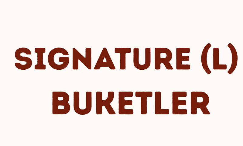 L boy gösterişli solmayan çiçek buketi – Florita