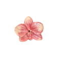 Florita Orkide Magnet