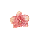 Florita Orkide Magnet